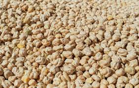 White Chickpeas, Garbanzo Beans, Pulses, Kabuli chana,, Agriproducts, Indian Exporter